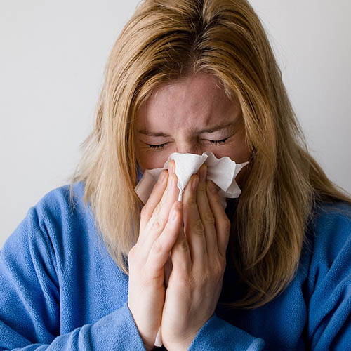 Vue interieure de la Pharmacie du Golf
